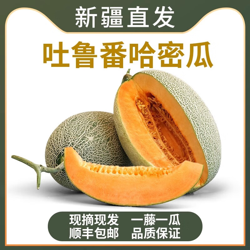 【顺丰快递】正宗新疆哈密瓜甜瓜西州蜜25号网纹瓜整箱新疆直发 【尝鲜装】5-6斤  2枚