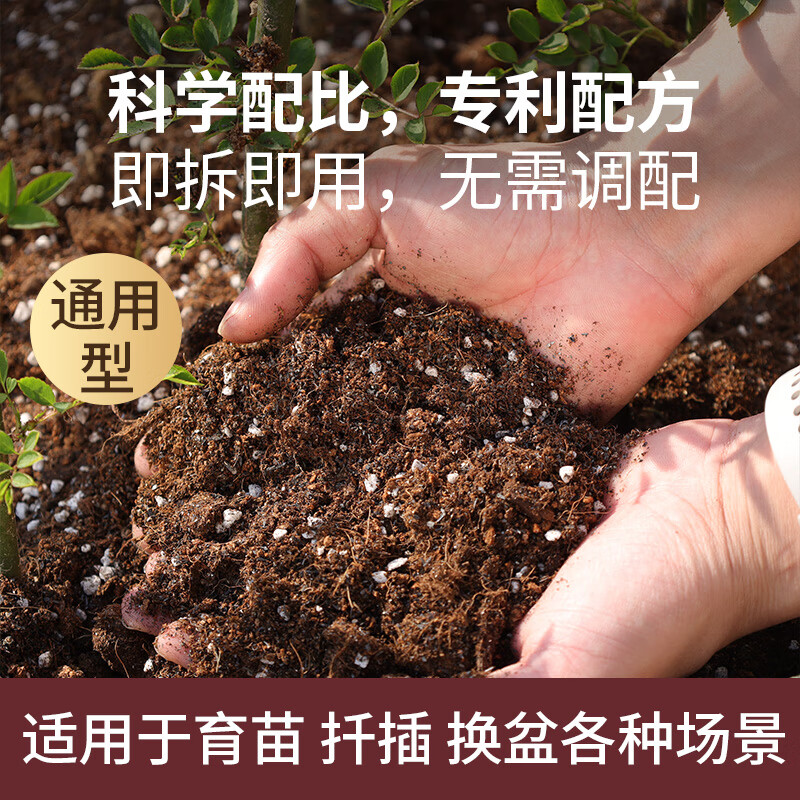 CASHW多肉专用土营养土颗粒土肉肉土壤盆栽种植土幼苗成苗老桩透气土 【大包多肉土】10L