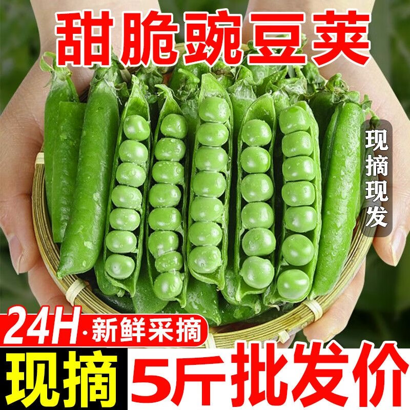 【鲜嫩】云南豌豆新鲜现摘豌豆荚带壳青豆角甜豆角应季蔬菜批发 3斤超市专供-颗粒饱满
