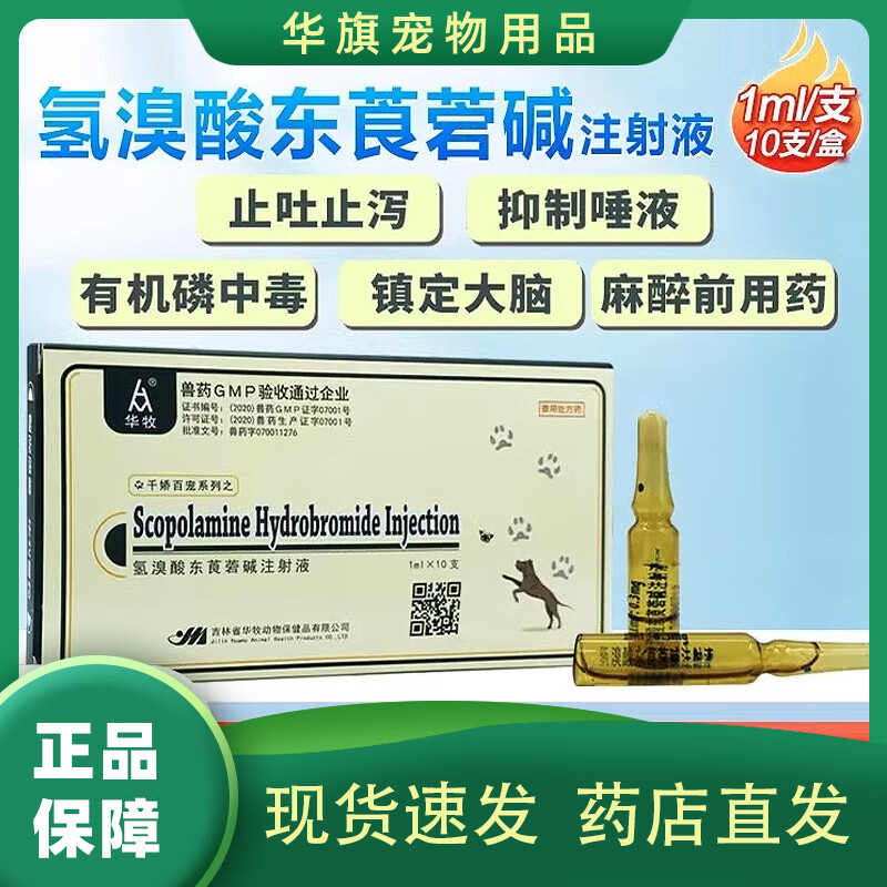 氢溴酸东莨菪碱注射液兽用猪牛羊犬胃肠绞痛呕吐解毒兽药6542针剂 氢
