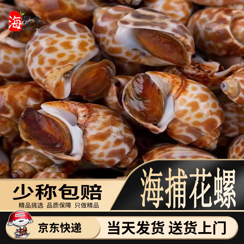 IGIFTFIRE鮮活速凍花螺 新鮮螺大號海鮮水產(chǎn)螺類鮮凍冷凍東風(fēng)螺 特大花螺 【冰鮮花螺】 1kg 50-80個/斤
