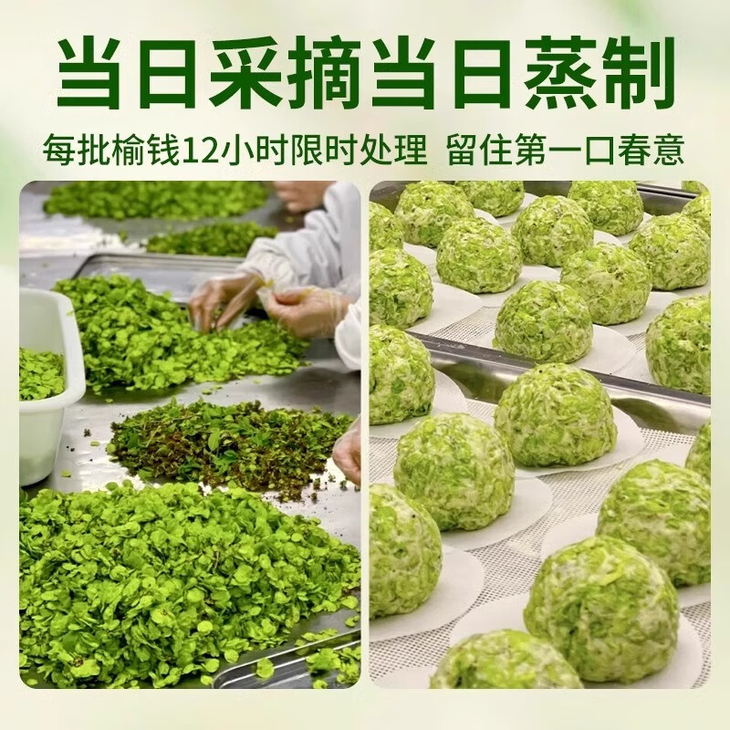 倍绝2026榆钱窝窝头糖尿饼中老年人爱吃的粗粮主食孕妇健康代餐控专 榆钱窝窝10个1000g