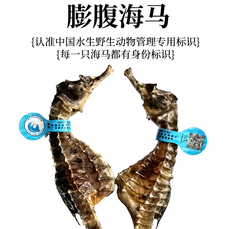 海马药材公母一对六角海龙组合泡酒滋补壮阳【CAWC认证】干货礼盒 50只公母搭配 52g*1袋 京东折扣/优惠券