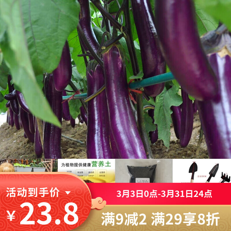 ���������Ϻ쳤���������������߲��������Ѵ����ļ���̨����ͥԺũ���л� ����������1��+�����ײ� �޹��