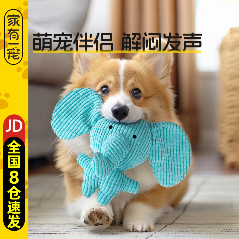 �Դ�������è���������ҧĥ����Ȯ����ë�޷������˽���������С��Ȯ������Ʒ