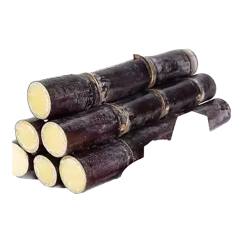 ��ɭ���� ������Ƥ���� �����֭ 3�� 6.9Ԫ(����ȯ)