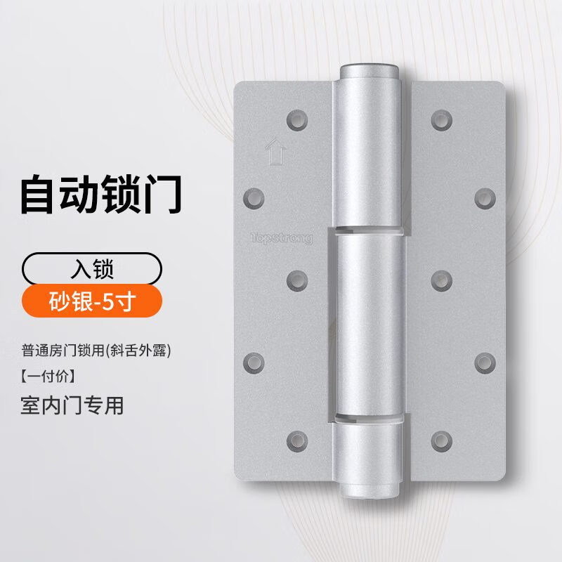 頂固（TOPSTRONG）隱形門合頁液壓緩沖回彈閉門器彈簧合頁阻尼暗門自動關門合頁 砂銀-自動鎖門一副價 其它
