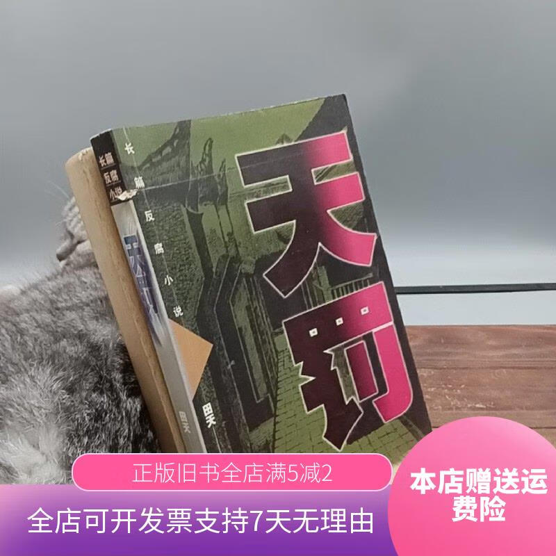 主角有天罚组织的小说