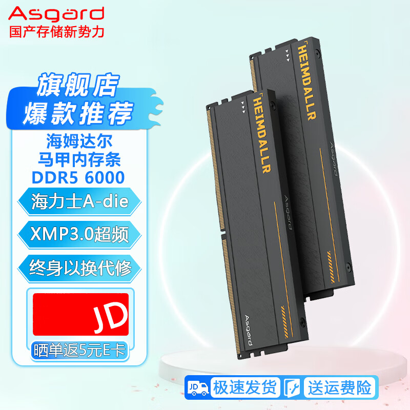 阿斯加特(Asgard)台式机内存条适配海景房机箱DDR5海力士颗粒华硕TUF升级款海姆达尔马甲内存 单支内存可选咨询