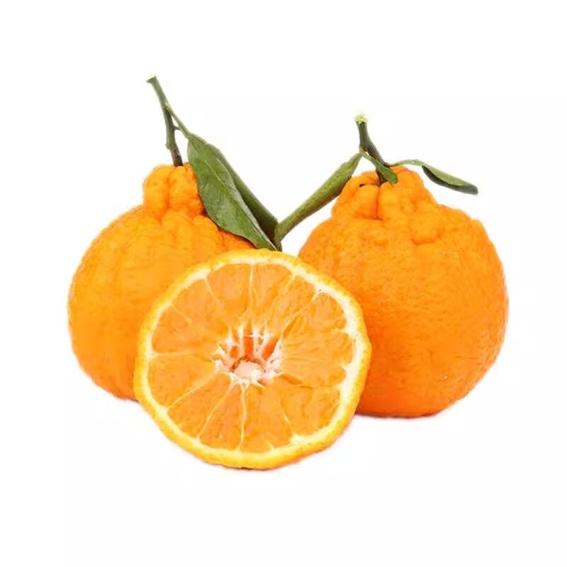 松林美果四川越丑越甜的黄果柑丑橘子新鲜应季孕妇水果 净重8.5斤中大果【黄果柑】