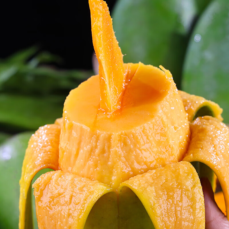 鲜福林现货越南进口大青芒水果当季新鲜甜心芒果大芒果包邮 净重4.5斤(单果400g起)