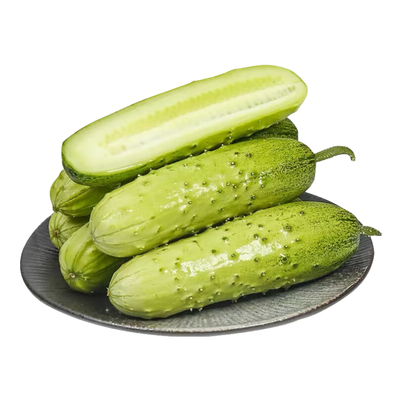 京地达山东旱黄瓜净重4.5斤单果100g+新鲜带刺黄瓜新鲜蔬菜源头直发包邮