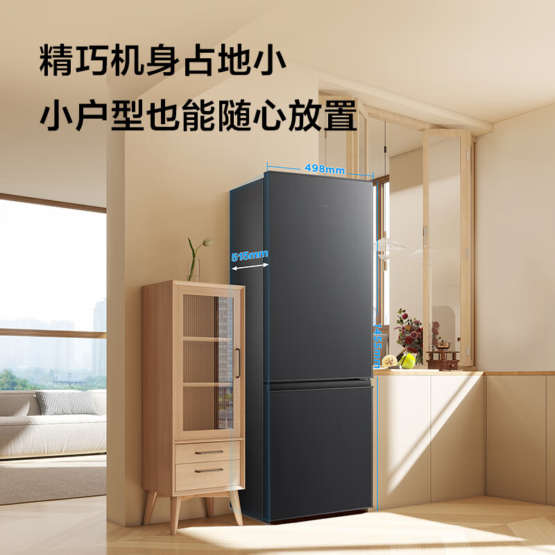 TCL171升L1双开门二门双温区节能二级能效节能低音养鲜冰箱小型便捷租房小冰箱 R171L1-B星曜灰 R171L1-B星曜灰