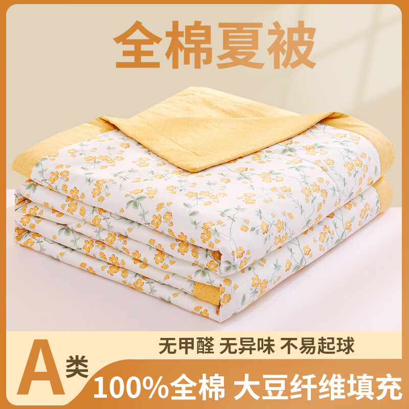 洁丽雅A类大豆纤维夏凉被棉印花夏被大豆被夏季薄款被学生宿舍空调被 春风拂面[A类母婴大豆纤维填充柔 110x150cm[儿童夏凉被] '