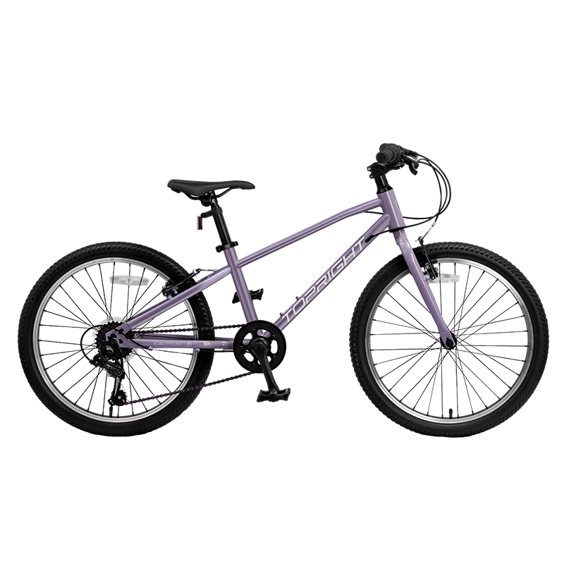 ���ڲ�����;��� �����ͯɽ�����г�6-12����Ů��ѧ�������굥��SC700ϼ����24�� 877.8Ԫ(������)