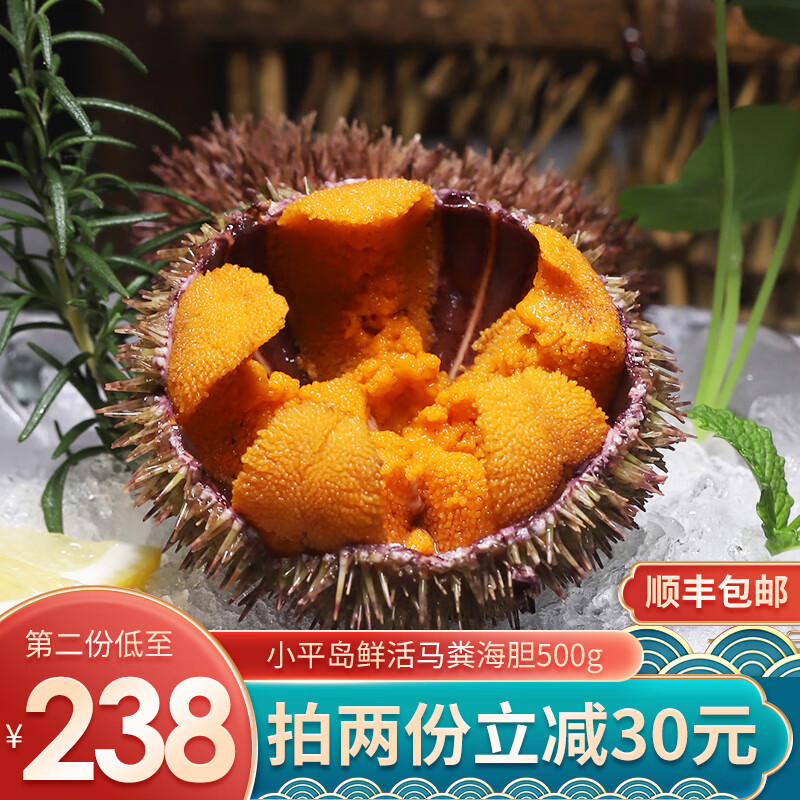 小平島（xiaopingdao）馬糞海膽1斤大連海膽新鮮生鮮水產(chǎn)刺身日料蒸蛋即食 馬糞海膽500g（10-14個(gè)左右）