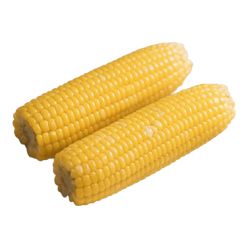 【东东农场专供】新鲜甜糯玉米黄白黑糯玉米真空玉米软糯代餐早餐 黄糯玉米180g-220g 5根装
