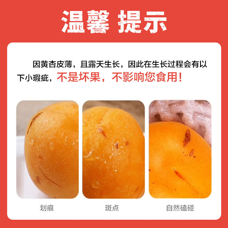 京世泽 陕西金太阳大黄杏 酸甜大杏子 时令水果 超值体验 净重3斤