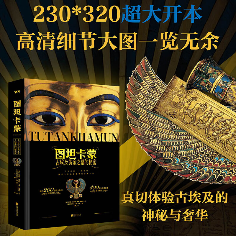 官方正版历史文化考古书籍 图坦卡蒙:古埃及黄金之墓的秘密