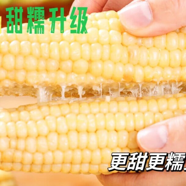 拾山走云南西双版纳甜糯小玉米四季鲜食0添加真空锁鲜非转基因饱腹感 糯小白甜糯小玉米 668克*2袋