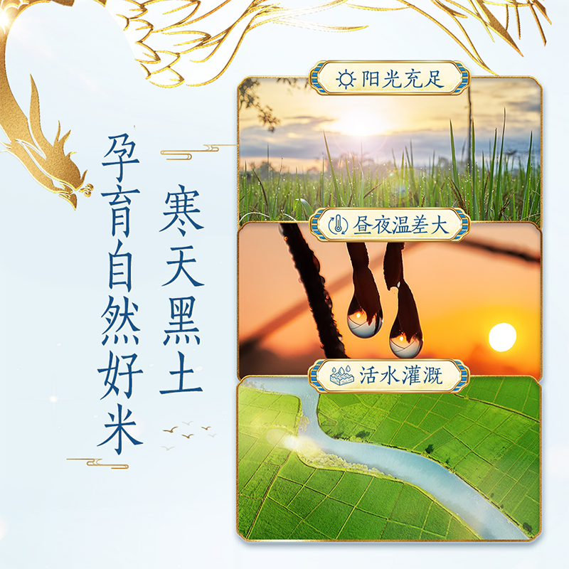 图 7