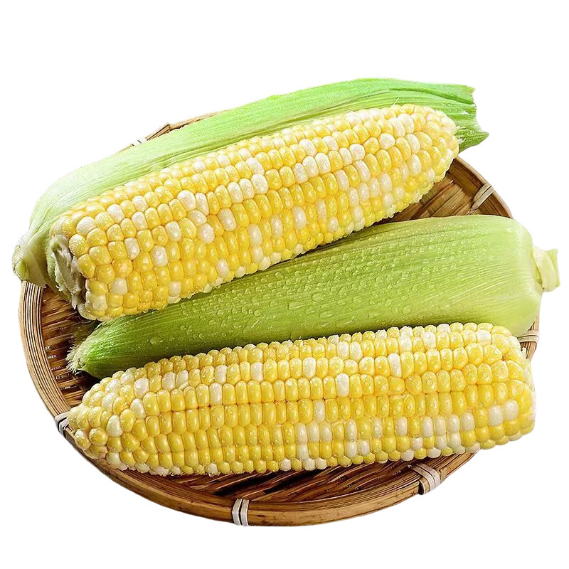 ���ڲ�������ζʮ�㣨DIANWEISHIZU��ˮ���������������Ͻ���˫ɫ��������ˮ�����װ��������ѹ��� ����˫ɫ ����ѡ5������� Լ5-9���� 18.1Ԫ