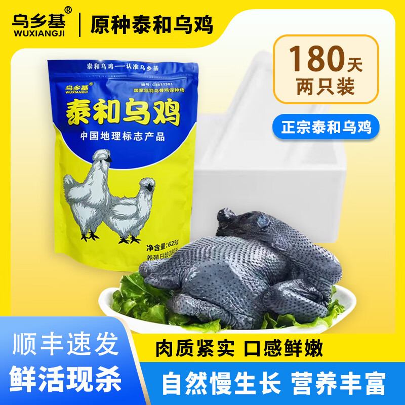 乌乡基原种泰和乌鸡180天日龄成年母鸡月子鸡散养土鸡活鸡现杀现发 【2只日常装】180天成年母鸡