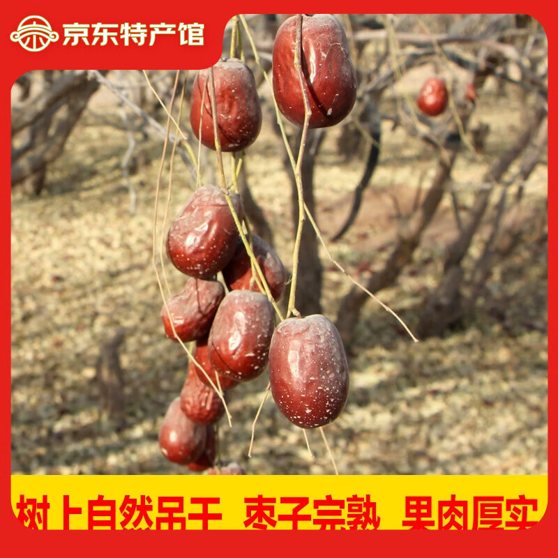十里饞新疆特產和田大棗原生態(tài)未清洗帶灰自然吊干紅棗和田一級駿棗包郵 2斤/原生態(tài)二級棗[新疆直發(fā)]