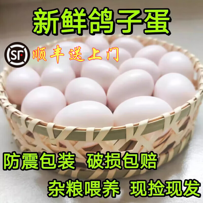 OIMG正宗农家散养新鲜鸽子蛋、土鸽笨鸽蛋、新鲜白鸽蛋、60枚 散养白鸽子蛋40枚