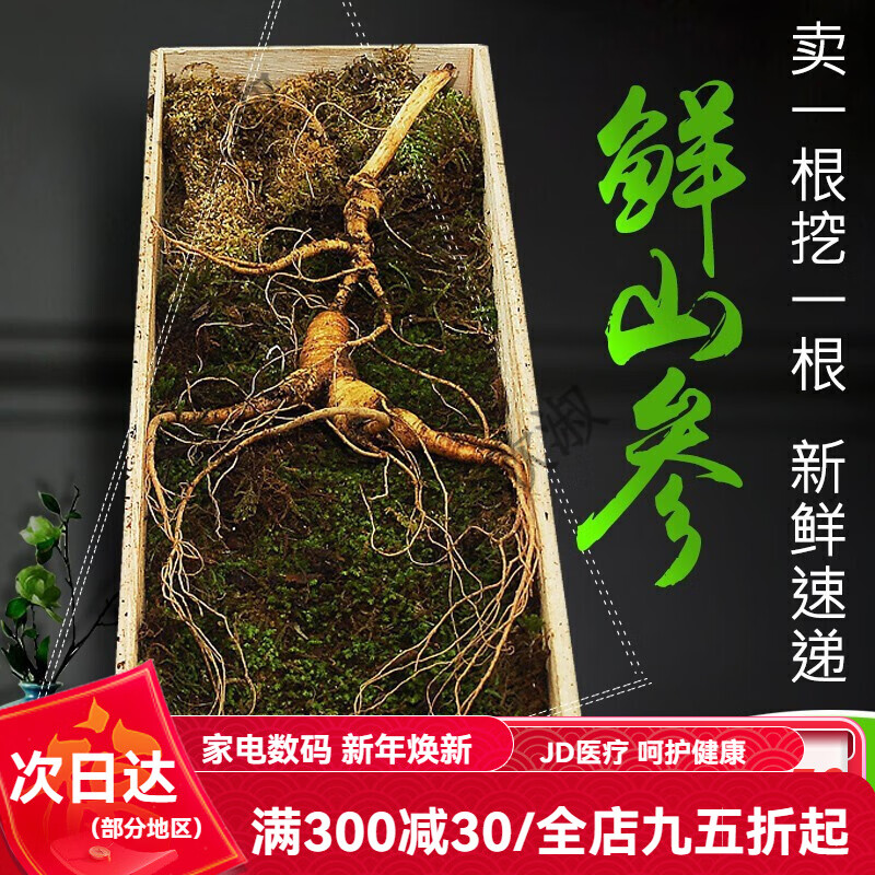 順豐速遞 易天健長(zhǎng)白山野山參新鮮人參東北林下山參8年以上鮮山參禮盒裝泡酒煲湯打粉送禮非野生搭鹿鞭鹿茸 鮮山參單支25g
