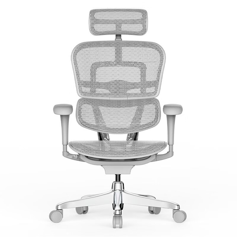 保友金豪b2代雄鹰 人体工学椅电脑椅久坐电竞靠背家用办公座椅子 金豪b2银白网 尼龙脚