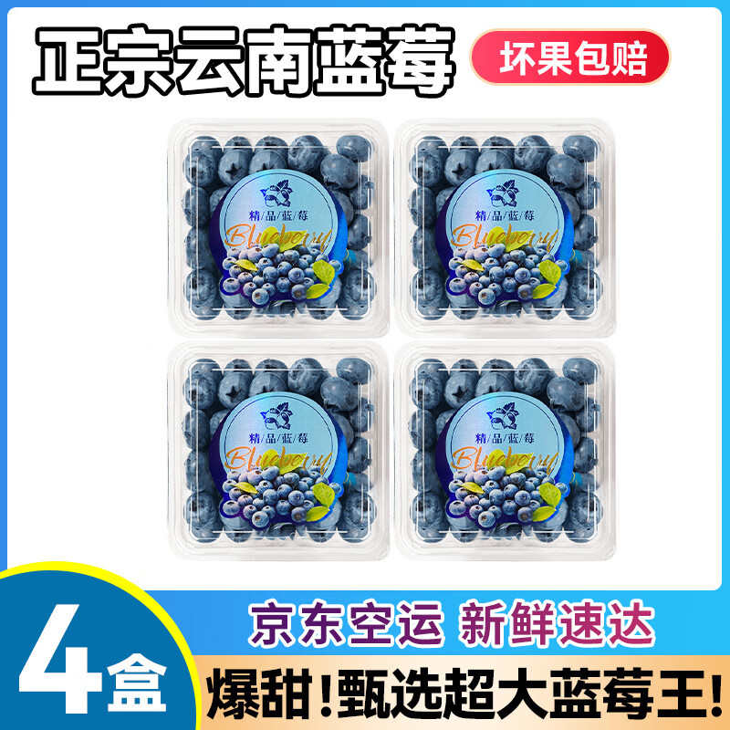 菲农云南蓝莓鲜果特大礼盒当季高山花香蓝莓新鲜水果大果整箱爆甜 4盒 巨无霸 20-24mm | 【单盒125g】