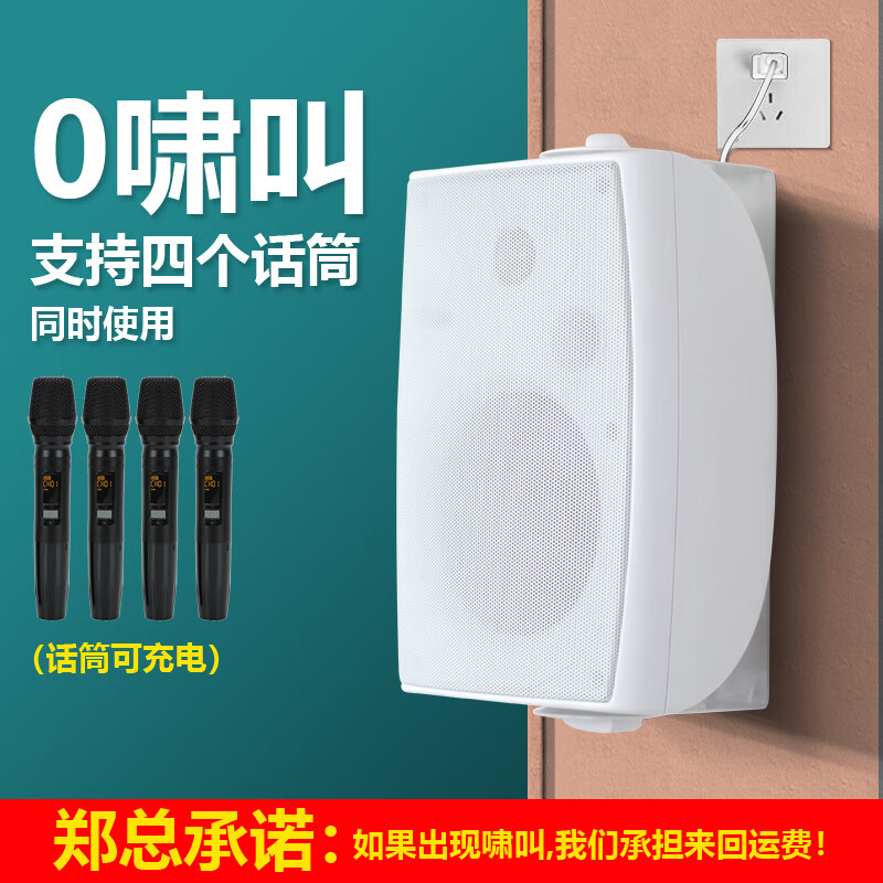 AITES舞蹈教室专用蓝牙壁挂音箱舞蹈室会议室带话筒重低音有源喇叭挂墙音响无线麦克风教学连一体机电脑 黑色主音响+单话筒