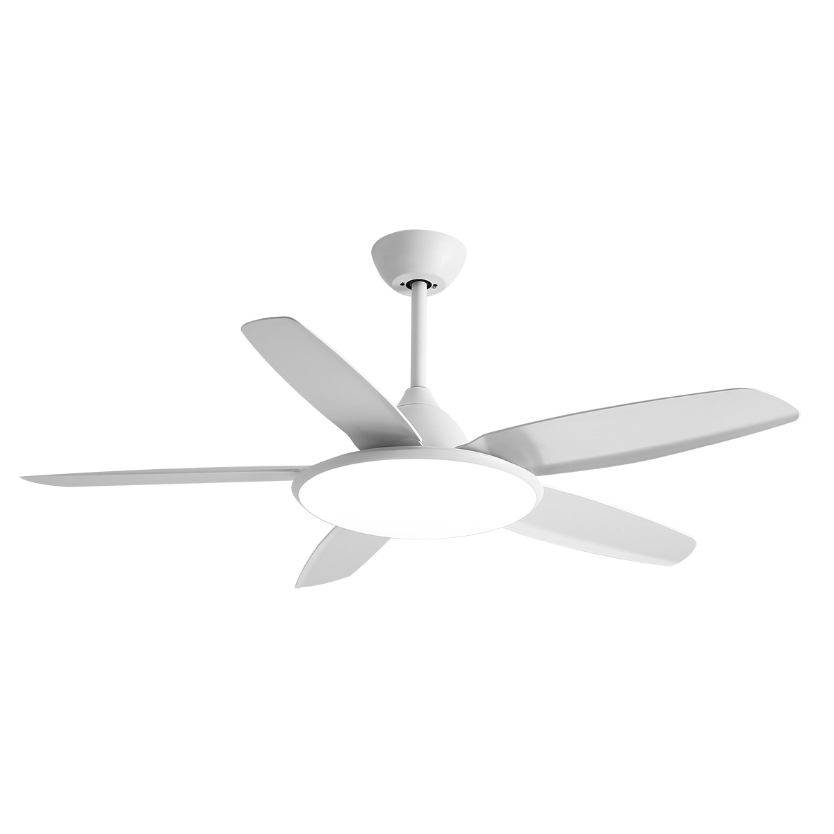 ʿNVCLEDȵƴߴ翪Ҷȵƿ1Ч60ǿȫ