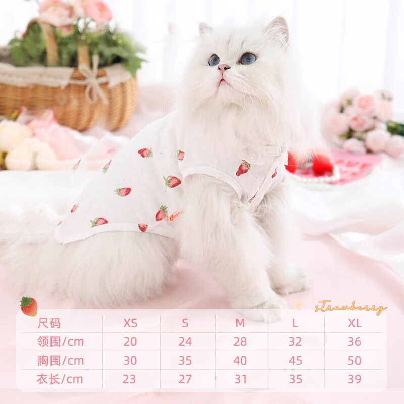 華元寵具（hoopet）貓咪衣服防掉毛薄款春夏新款貓貓布偶小貓咪兩腳背心夏天寵物裙子 貓咪背心-清新草莓白 S-胸圍35cm（建議3-6斤）