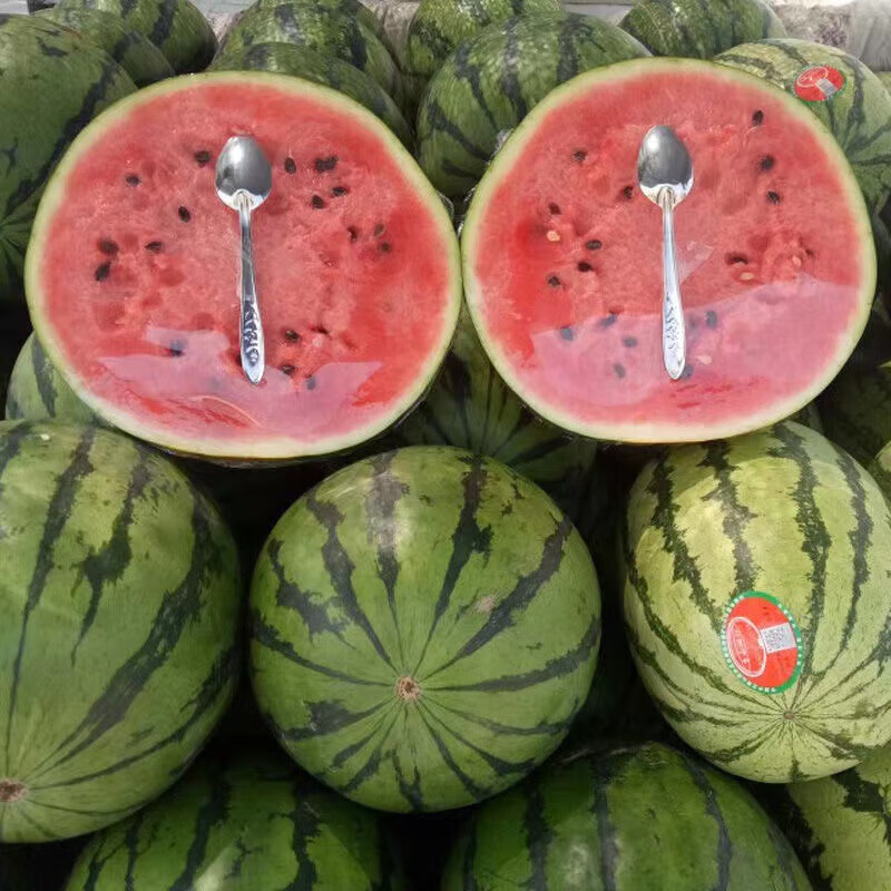 乐扣乐扣不锈钢玫瑰花小勺子挖西瓜水果铁勺外卖礼品家用地摊 不锈钢小勺子-2个