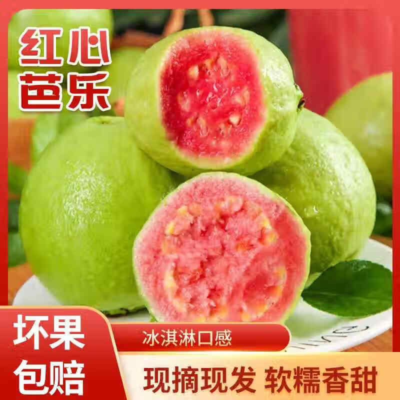 颜小荭芭乐双拼软糯奶油芭乐脆口红白心双拼芭乐组合新鲜水果当季番石榴 2.8-3斤红心芭乐（实惠装）