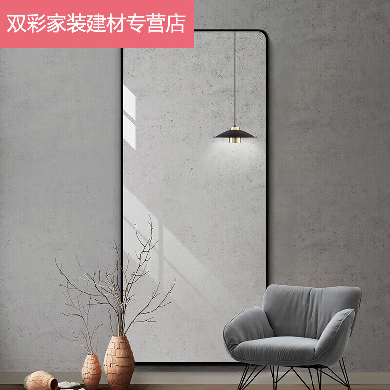 澳顏萊更衣鏡貼墻鏡 墻面鏡 簡(jiǎn)約北歐全身鏡子落地鏡家用穿衣鏡壁掛試的 防爆銀色800*1800mm 650mm*1700mm  否