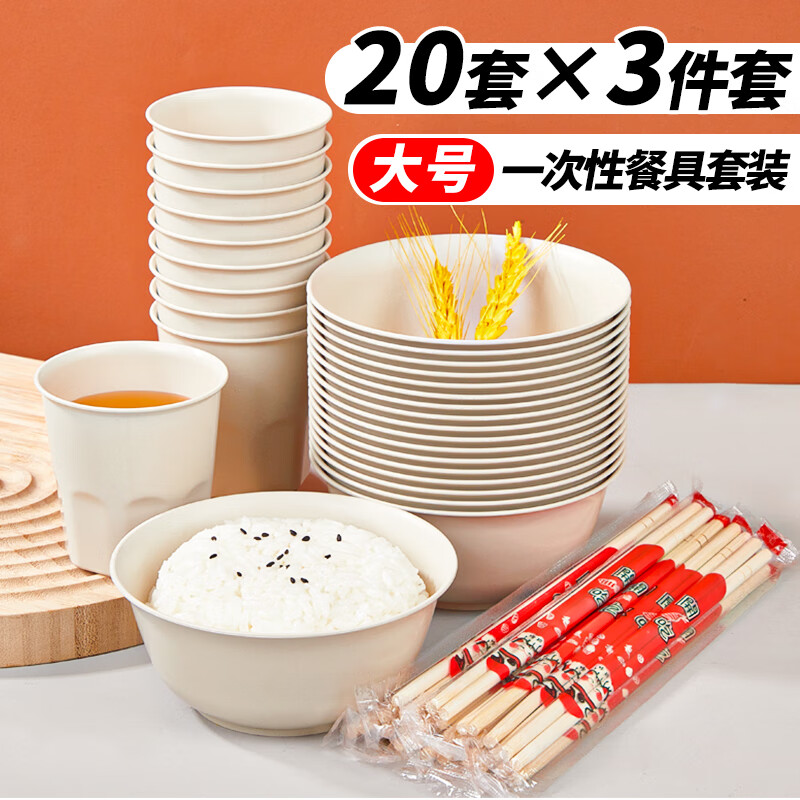 优奥一次性餐具套装20套加厚碗杯子筷子三件套户外野餐防水防油