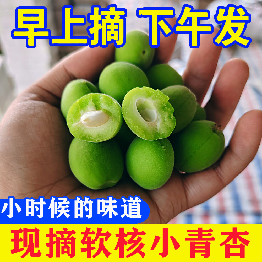 正宗山西軟核青杏5斤綠杏子新鮮孕婦水果現(xiàn)摘農(nóng)家酸脆杏子整箱L3 5斤 酸脆爽口送【辣椒鹽】