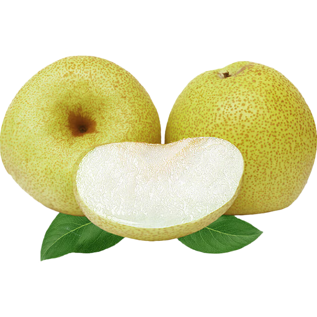 京鲜生 精选砀山梨老树酥梨10斤 单果重250-350g  水果礼盒