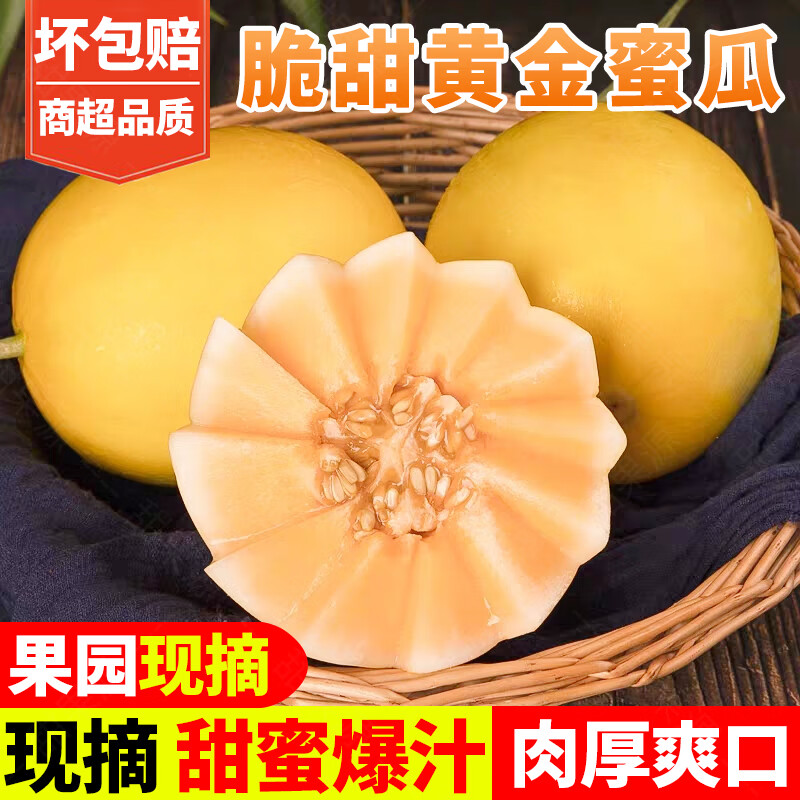 甜果源 黄金蜜瓜 海南黄皮香瓜黄河甜哈瓜密瓜当季时令新鲜水果礼品盒 净重4.5-5斤【80%人选择】 京东折扣/优惠券