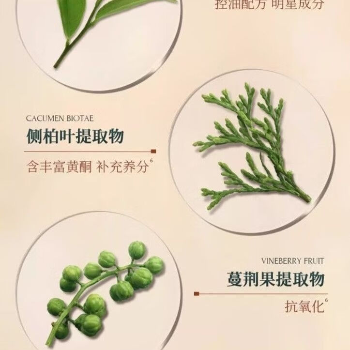 墨雪洗发水控油茶净柔顺止痒去屑生姜清爽三重养护蓬松去油 墨雪洗发水两瓶装