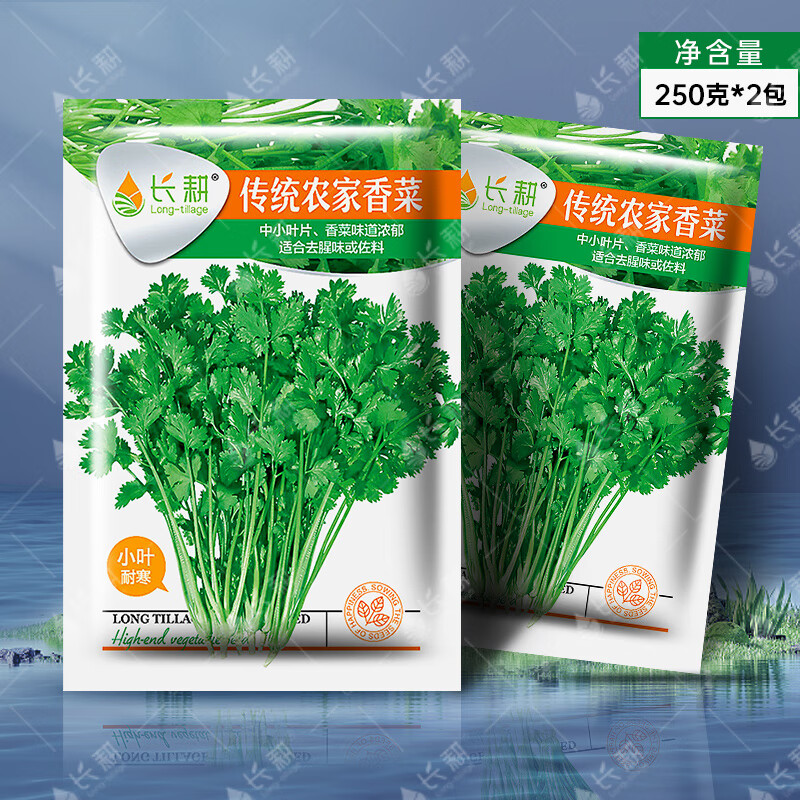 長(zhǎng)耕春播耐熱香菜籽種大全大葉芫荽種子農(nóng)家盆栽四季蔬菜種抗熱小葉孑 長(zhǎng)耕小葉香菜500克原裝