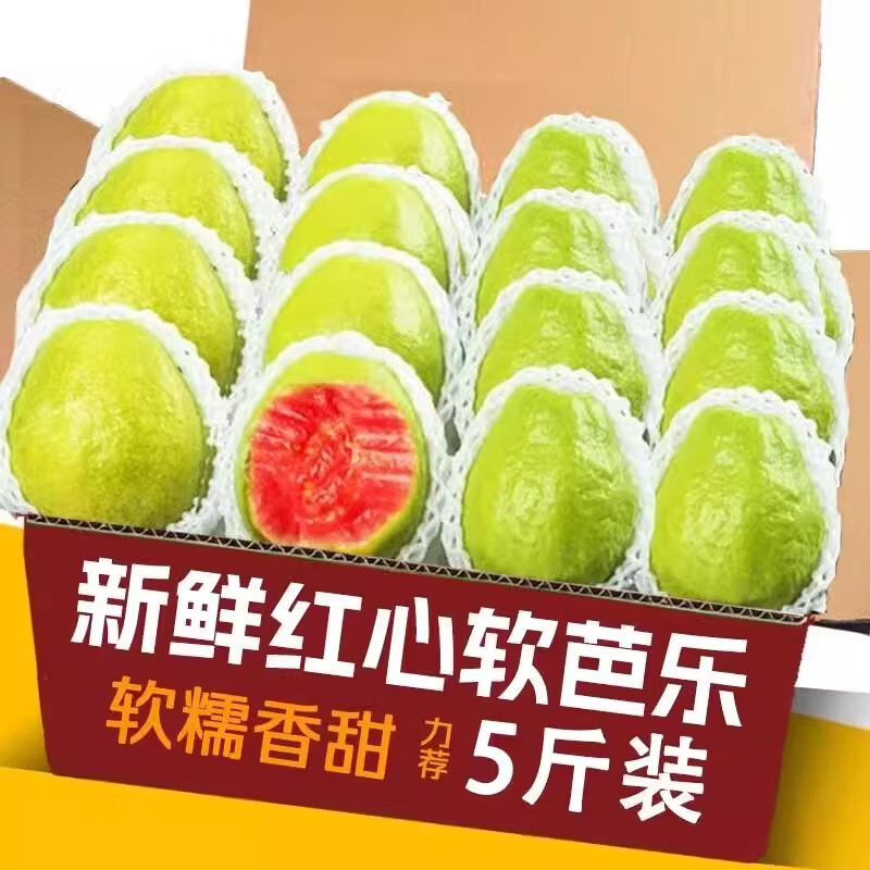 顾果鲜广西红心芭乐番石榴当季新鲜孕妇低糖水果现摘软糯芭乐果整箱生鲜 1斤尝鲜装