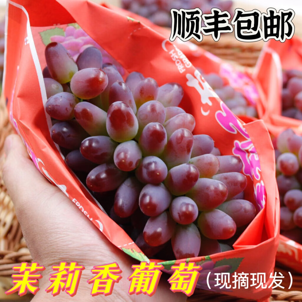 現(xiàn)貨茉莉香葡萄新鮮時(shí)令水果玫瑰百果香郁金香紫紅小脆提子葡萄 新鮮現(xiàn)摘 1斤