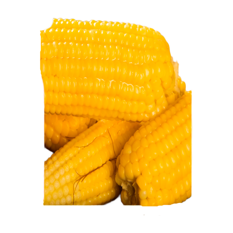 王老宝东北黄糯玉米  甜糯玉米棒 新鲜真空包装加热  即食黏玉米 东北黄糯玉米170-200克 小棒 10个