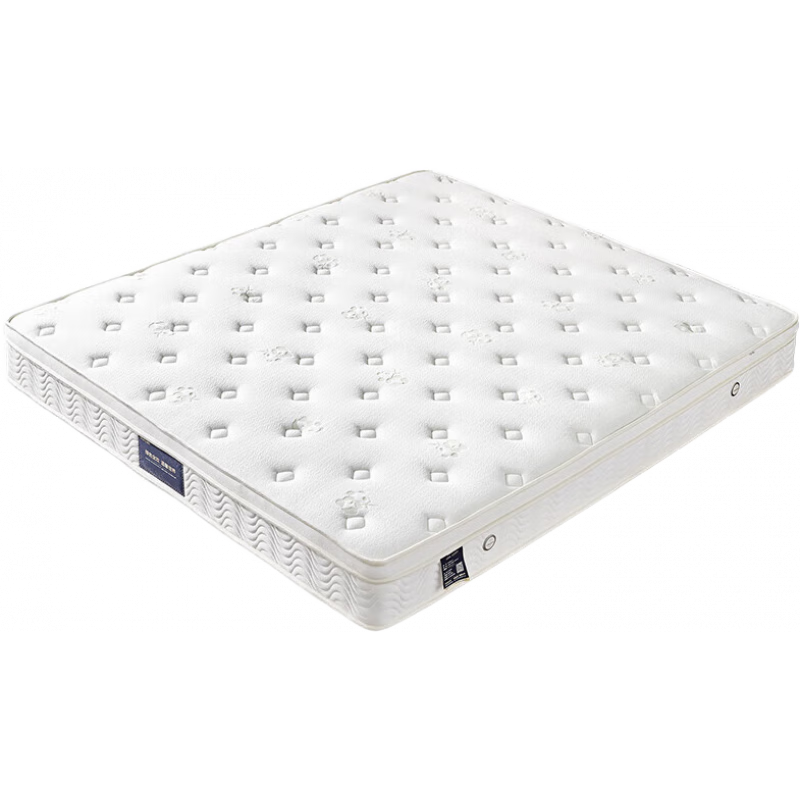 ڲȫѼҾ̩齺ɴ˫˵˴Ӳ |1.8*2״|24cm 1179.82Ԫ()