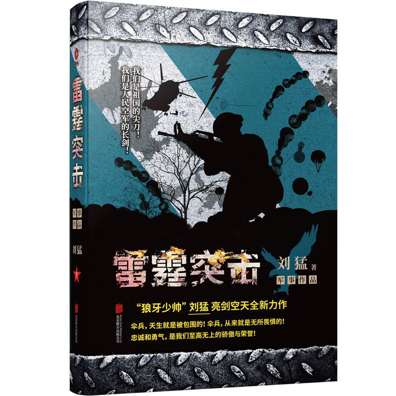 刘猛作品：雷霆突击