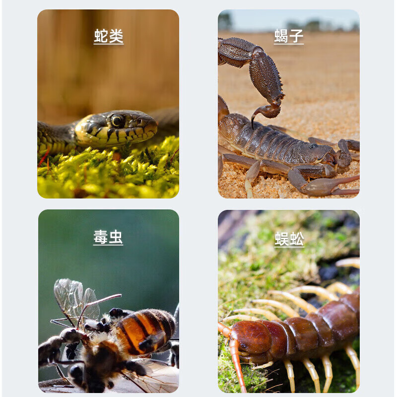 驱蛇粉雄黄硫磺粉强力长效持久安全无毒防雨2026灭蛇神器100%正品 5桶装【特惠装】买3赠2
